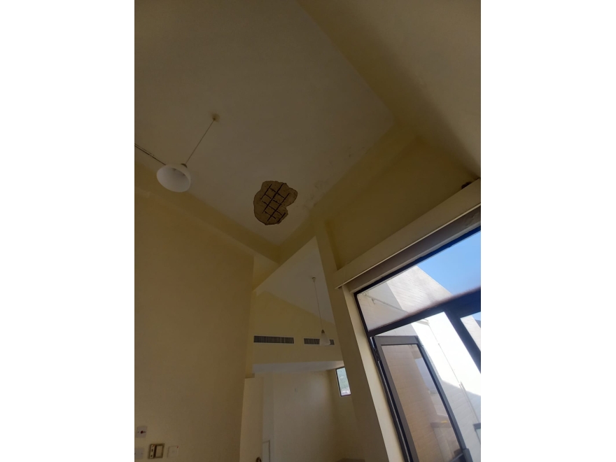 淺水湾碧池豪宅維修前1.3